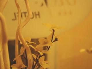 Central Hotel Tiepolo Hotel 3*